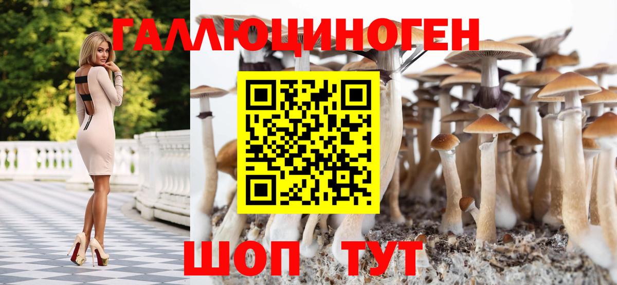 Армавир  Галлюциногенные грибы GOLDEN TEACHER  Вход с VPN 