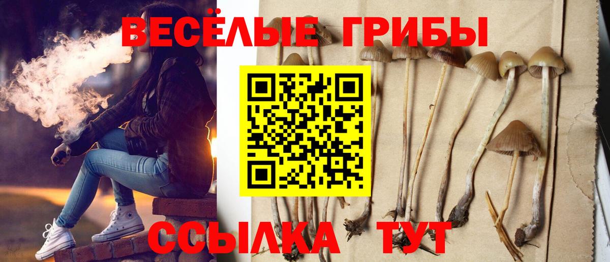 Галлюциногенные грибы Magic Shrooms Армавир
